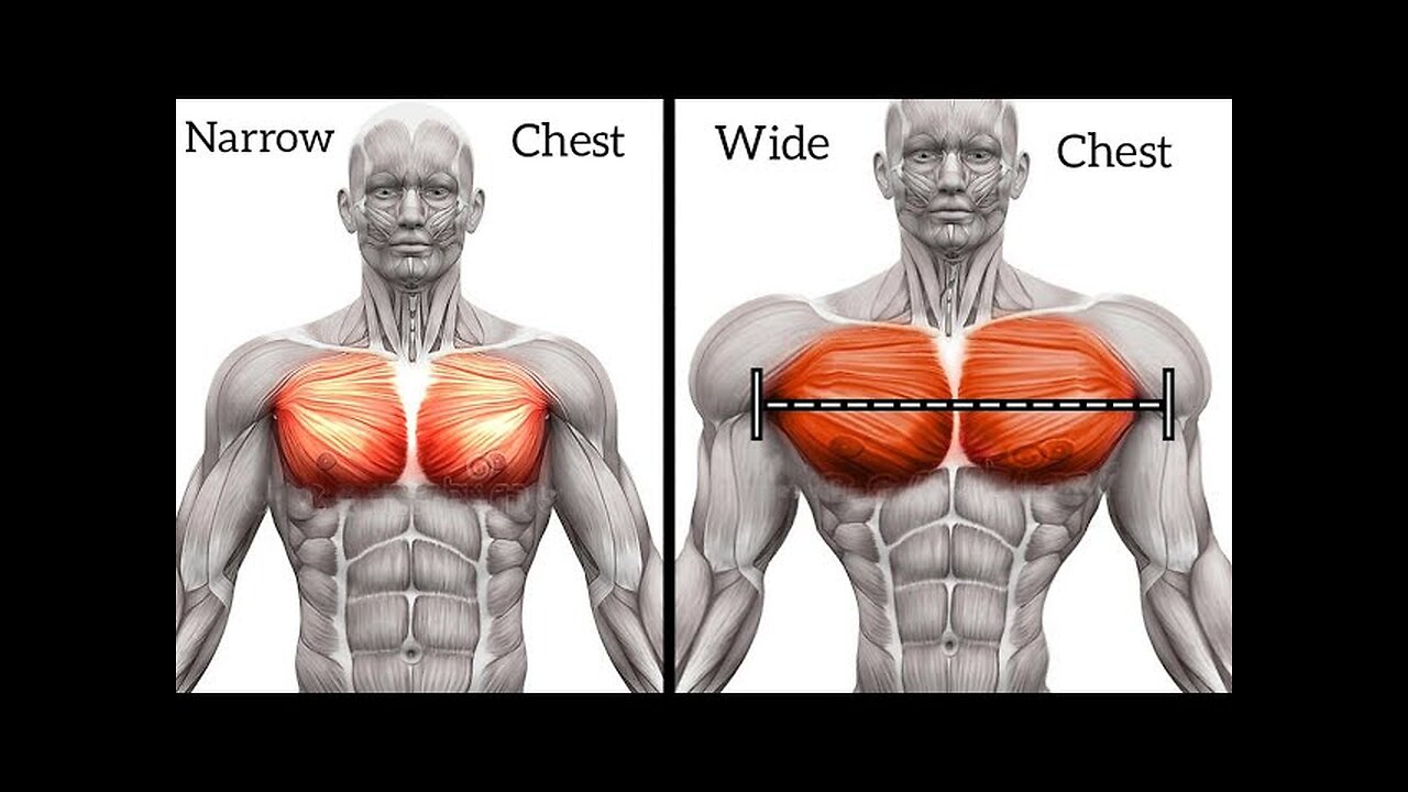 chest workout machine at home #abs #unlimate #gym #WORKOUT #bestbellyfat