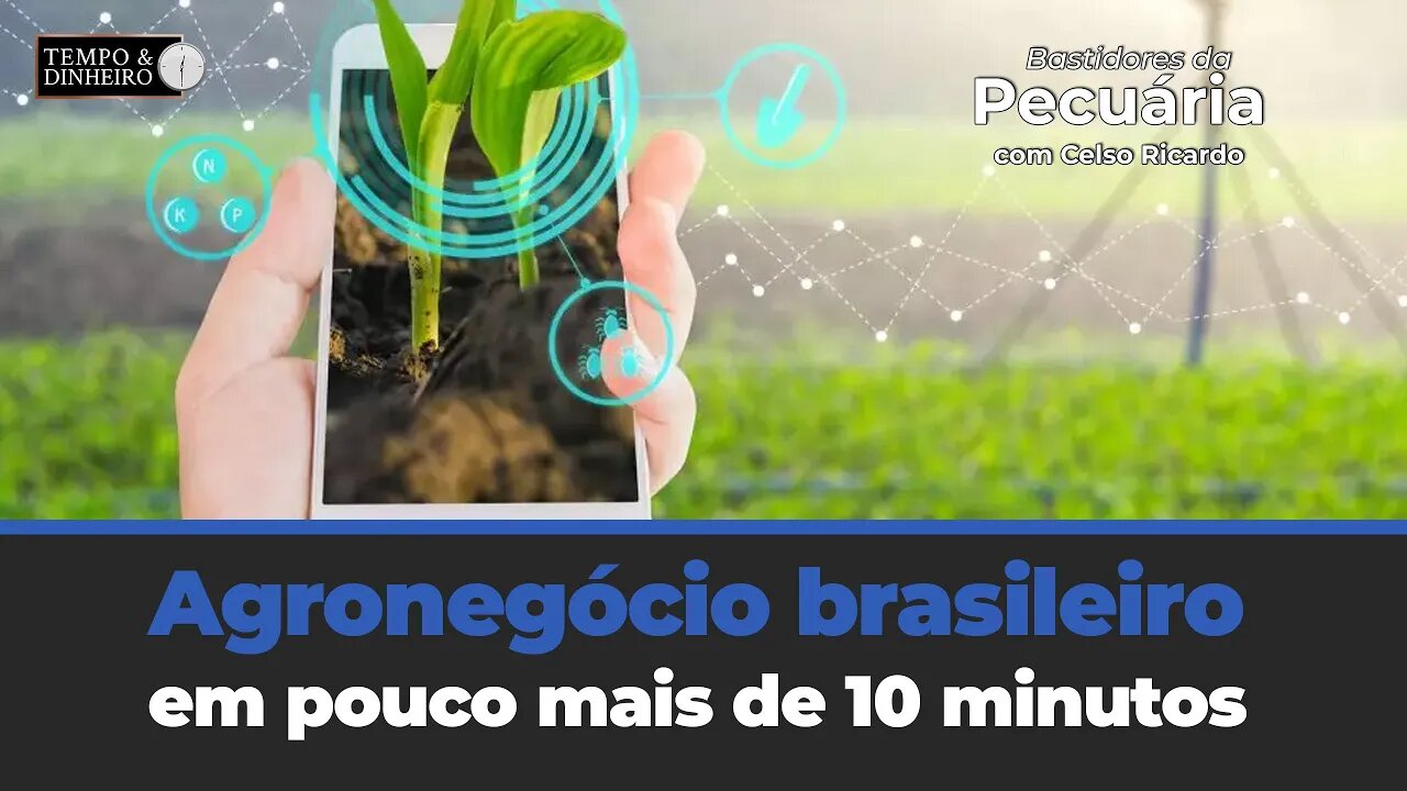 Agronegócio brasileiro em pouco mais de 10 minutos com Celso Ricardo
