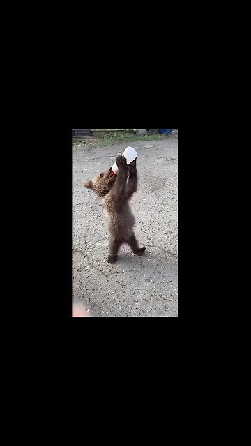 Wait, I haven't finished my drink yet!