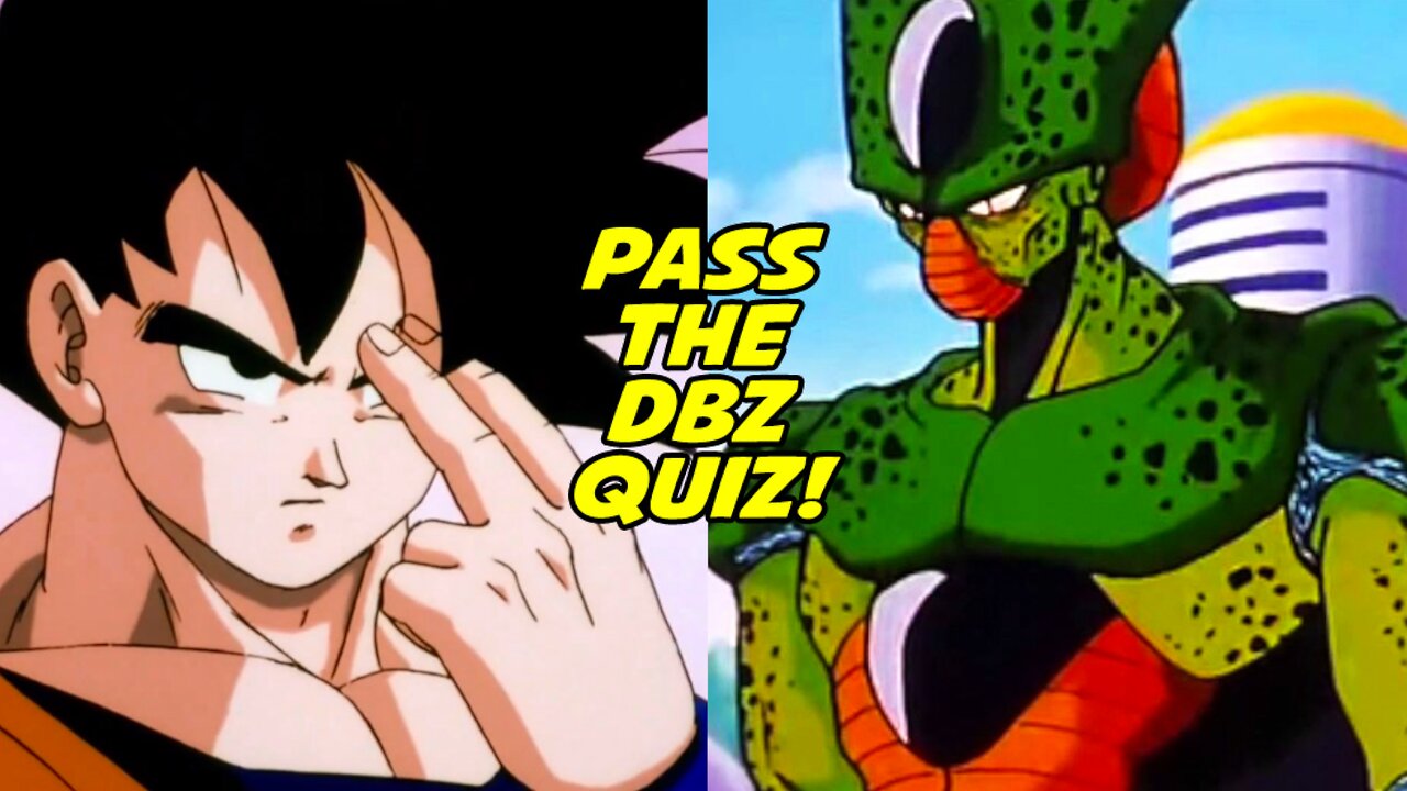 Answering 50 Questions About DBZ