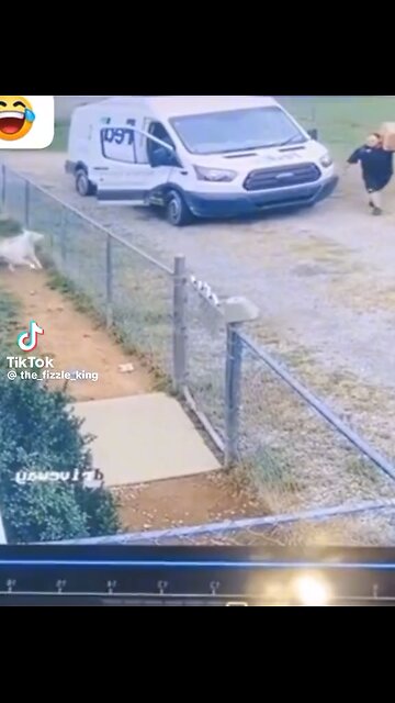 This is how your dog shows you when his package comes from bearscorner.com