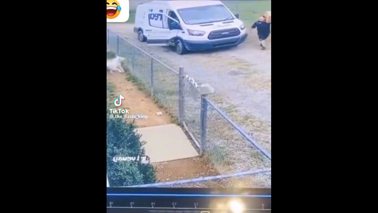 This is how your dog shows you when his package comes from bearscorner.com