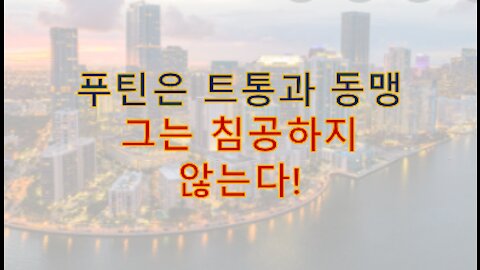 푸틴은 트통과 동맹, 내셔널리스트. 함부로 침공하지 않는다!