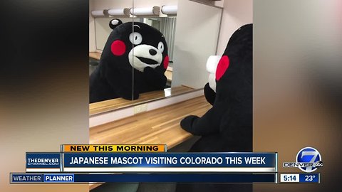 Japanese mascot Kumamon visiting Colorado this week