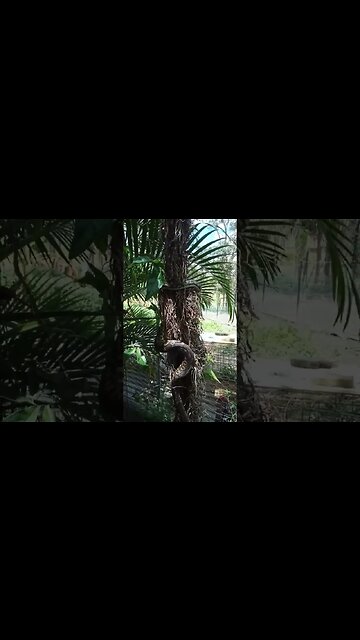 Python going higher up the tree 8th March 2023