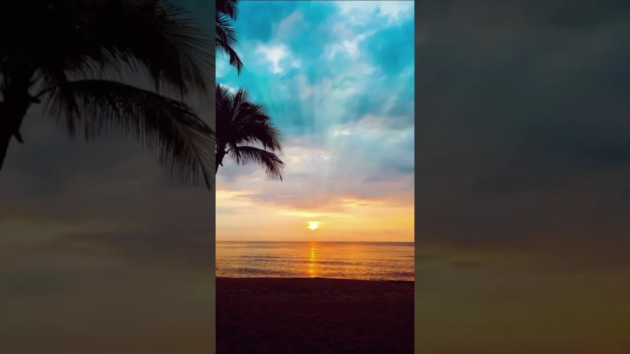 60-second guided meditation #shorts #guidedmeditation #meditation #relaxingmeditation #meditation