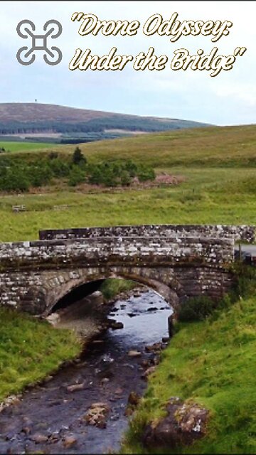 Drone Odyssey: Under the Bridge