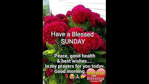 blessings Sunday