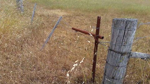 The Australian Cockies Gate - Every Aussie farmer has them.