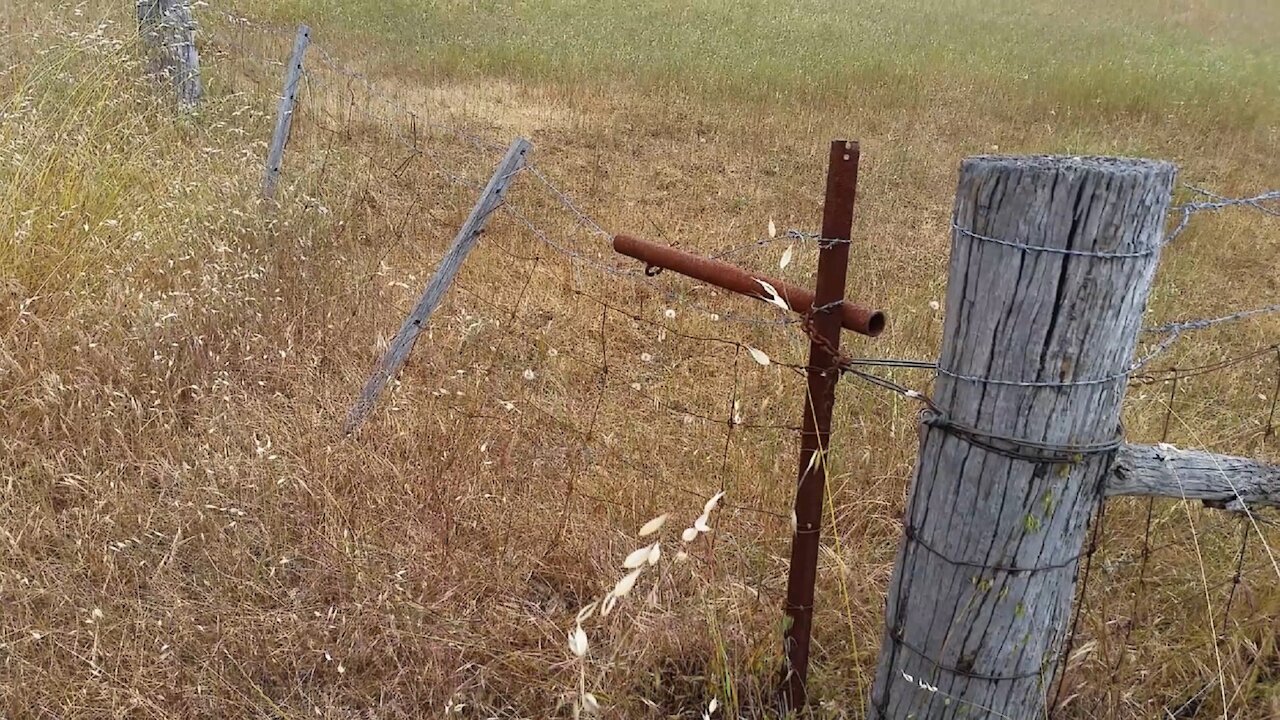 The Australian Cockies Gate - Every Aussie farmer has them.