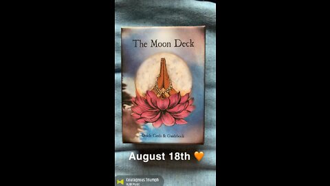 August 18th oracle card: courageous