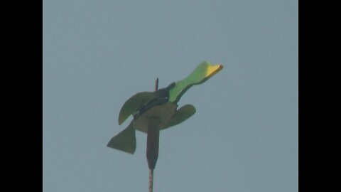 The 175th Hollandtown Schut