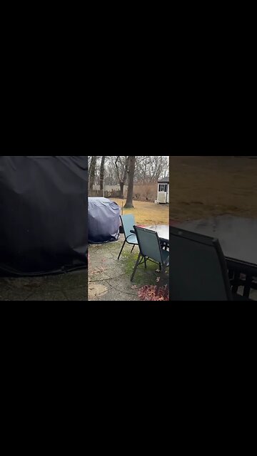 Waiting for spring in 2023 #shorts