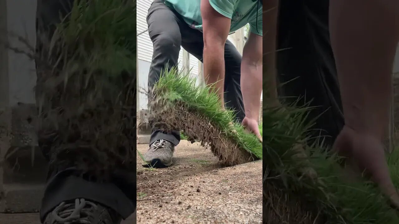 Getting grass out of concrete