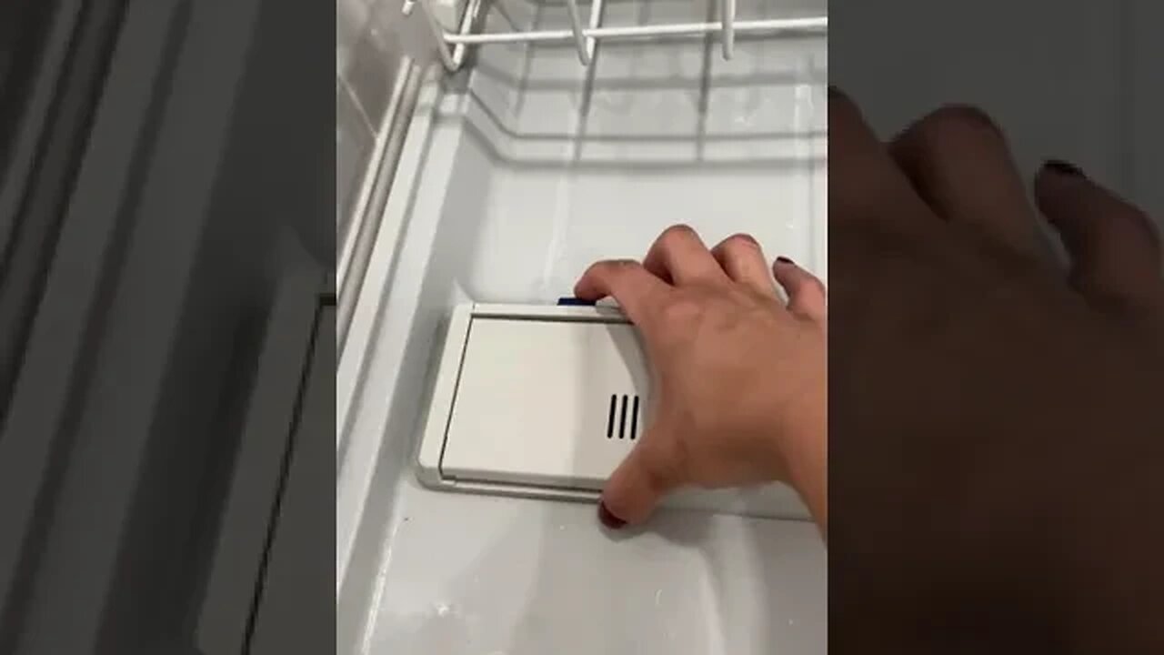 Explaining a dishwasher to my niece