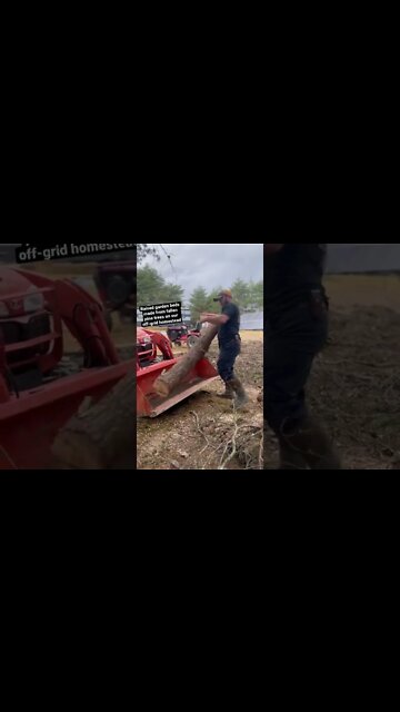 FREE Raised Garden Beds #HoneyImHomestead #raisedbeds #zerowaste