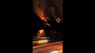 Wild Fire *