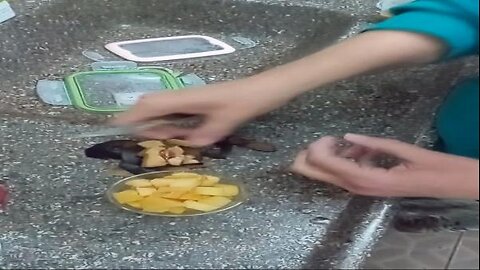 Cirurgia bariátrica ameixa cortando