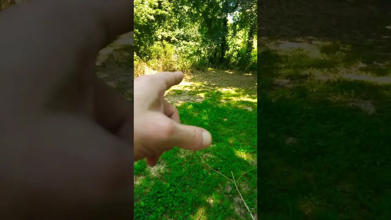 It came outta the woods fast I shoulda offered it a beer