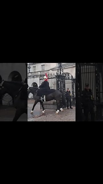 One Horse out one Horse in #thekingsguard