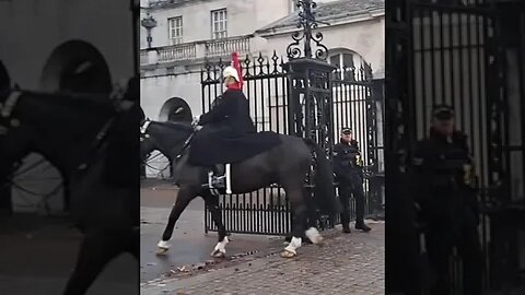 One Horse out one Horse in #thekingsguard