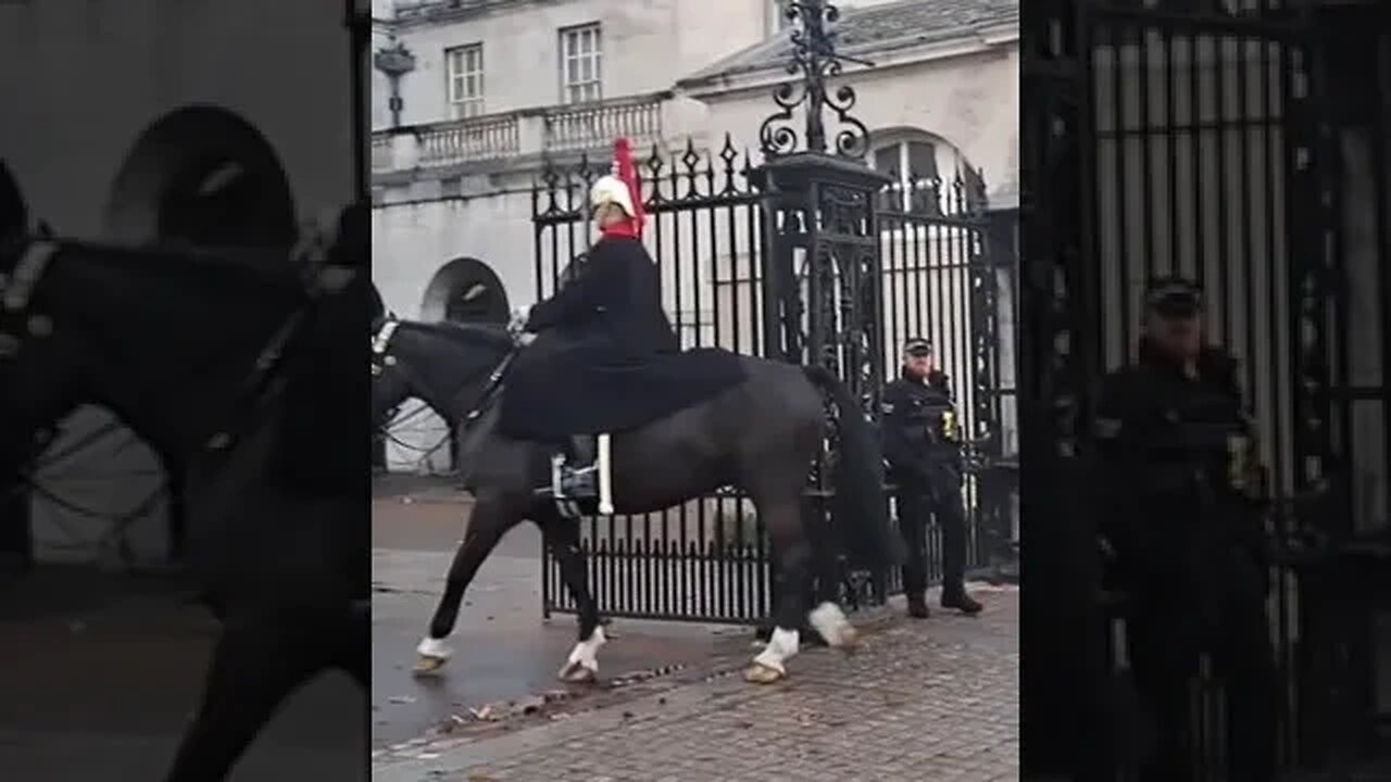 One Horse out one Horse in #thekingsguard