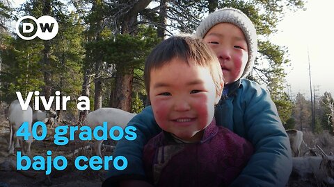 Los últimos nómadas de renos de Mongolia | DW Documental
