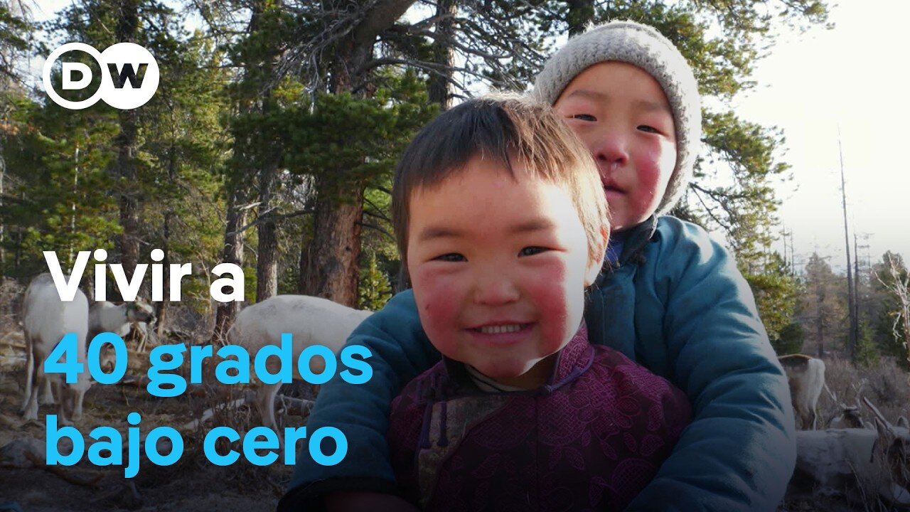 Los últimos nómadas de renos de Mongolia | DW Documental