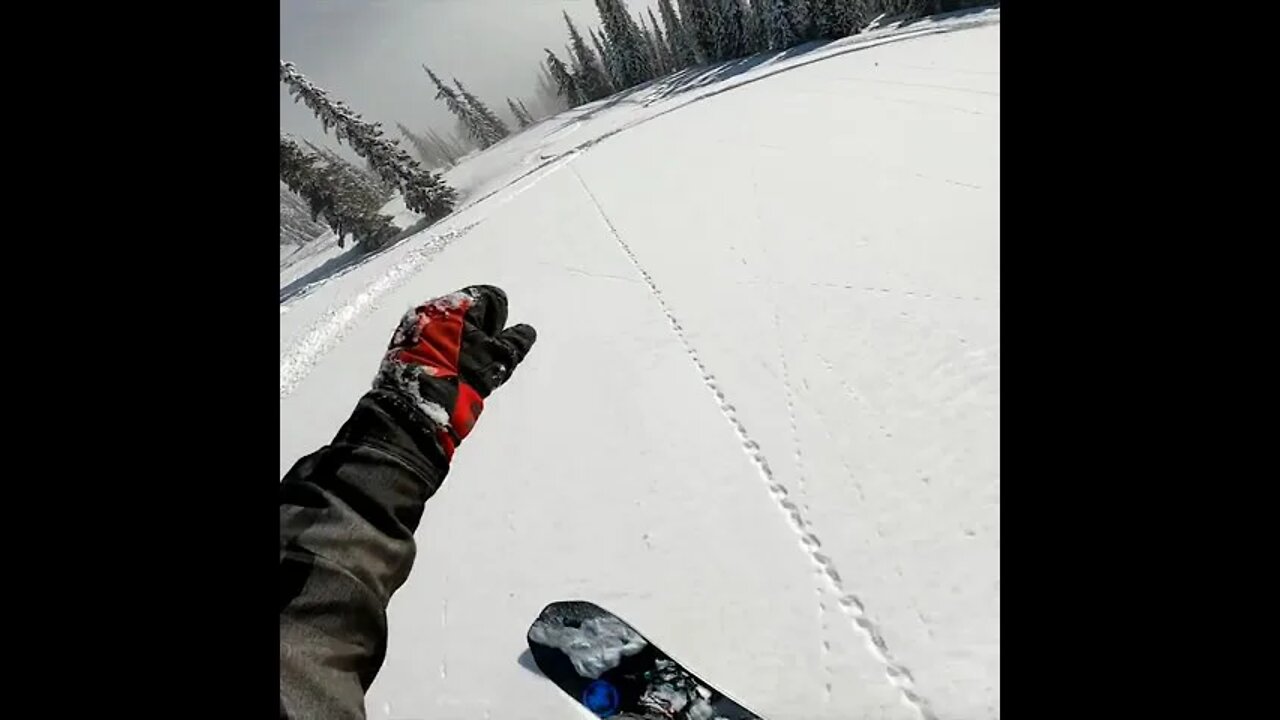 The Feeling 10/10 Subscribe for more #short #snowboard #snowboarding #adventure #travel #mountain