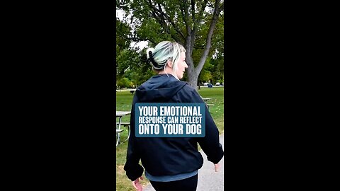 Emotional Responses Can Reflect Onto Your Dog
