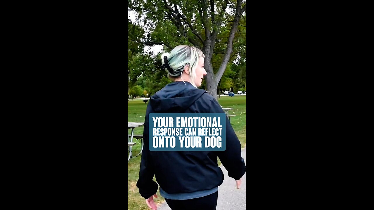 Emotional Responses Can Reflect Onto Your Dog