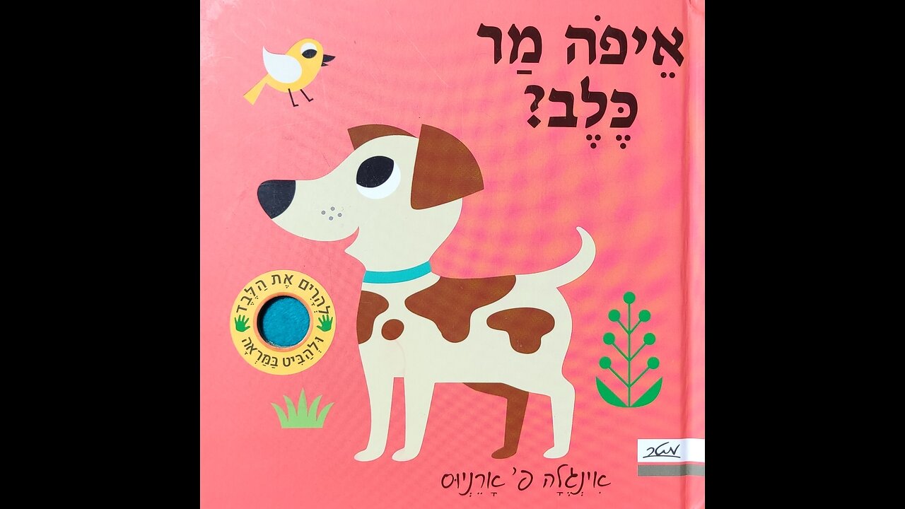 איפה מר כלב?