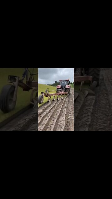 Amazing Shorts with trending mind blowing video #shorts #viral