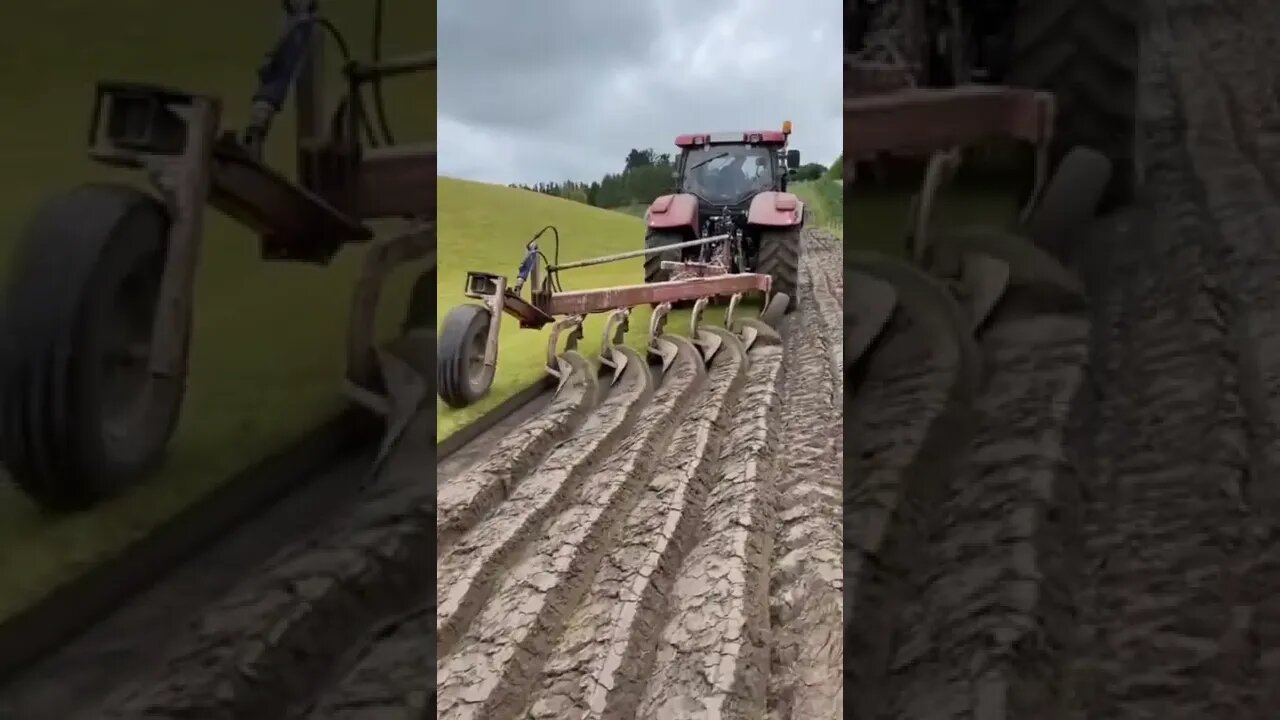 Amazing Shorts with trending mind blowing video #shorts #viral