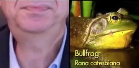 Pfizer Frog CEO