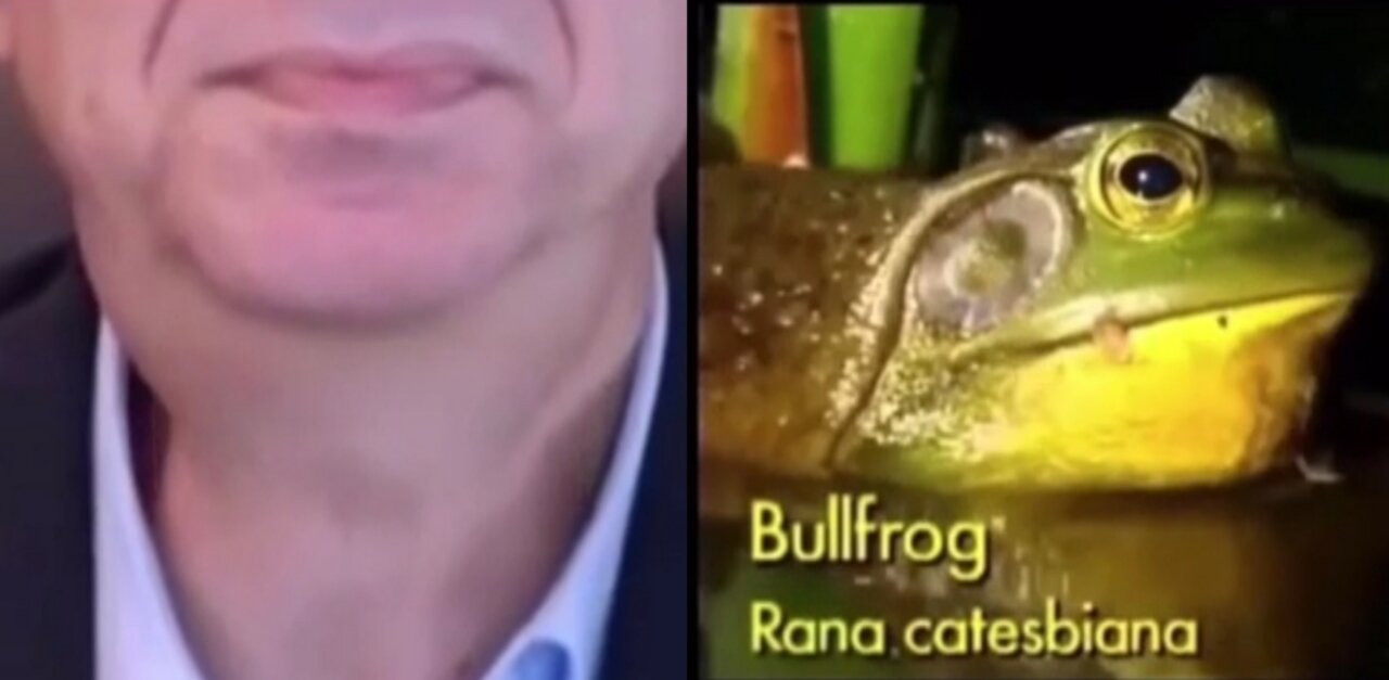 Pfizer Frog CEO