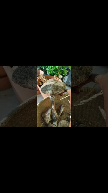 Another beautiful day in Trento. Autumn vibes.