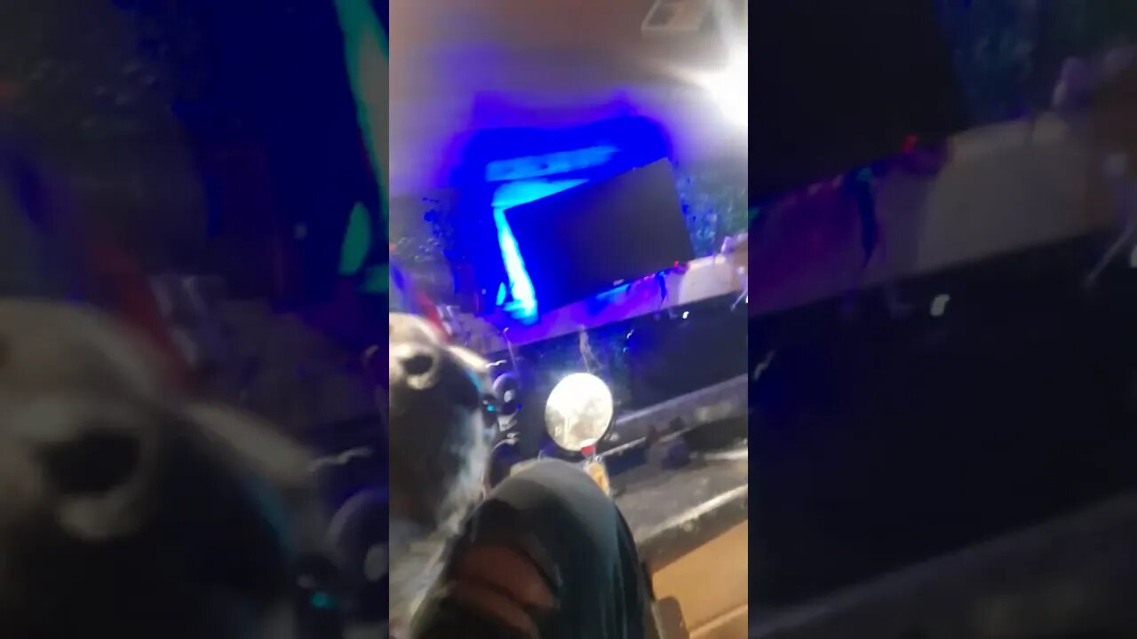 Van Life Doggo Play Time