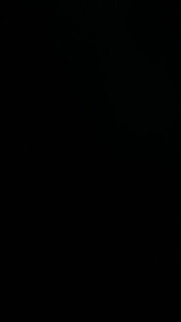 Pedophilia at Disney World