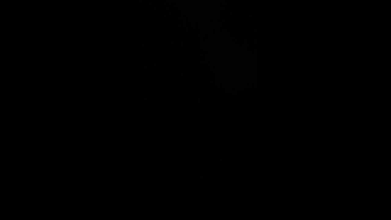 Pedophilia at Disney World