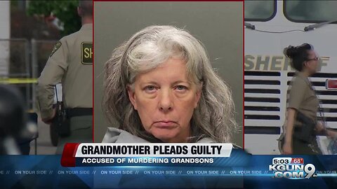 Woman pleads guilty in killings of twin grandsons