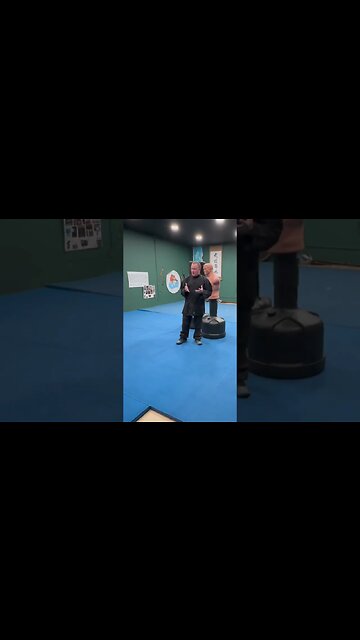 Baji bag work #martialart #kungfu #chinesemartialarts #karate #wutang