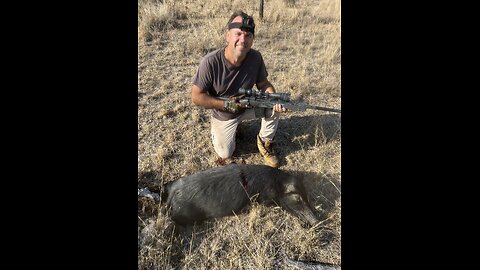 Northern NSW Hunting