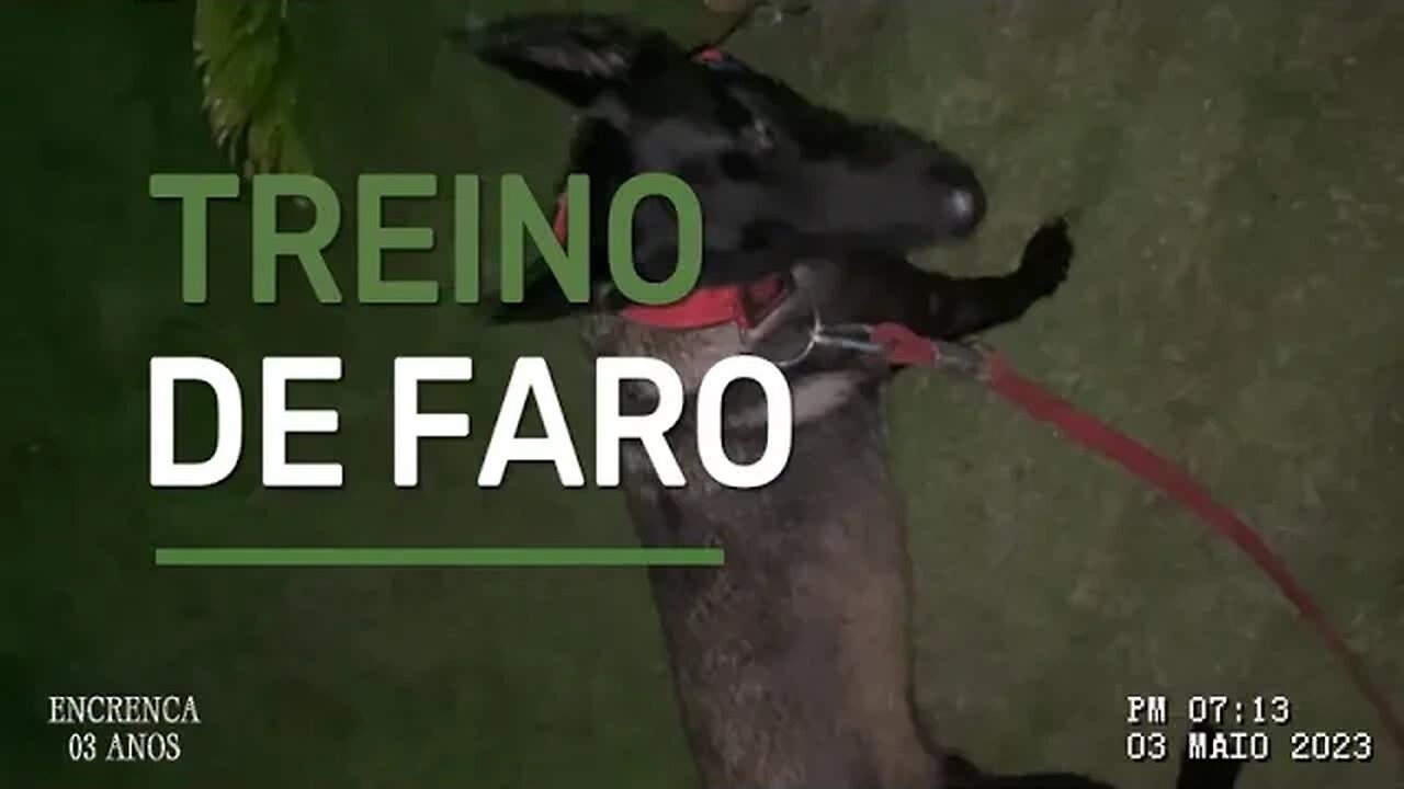 TREINO DE FARO: ∑ π © R ∑ π © Å