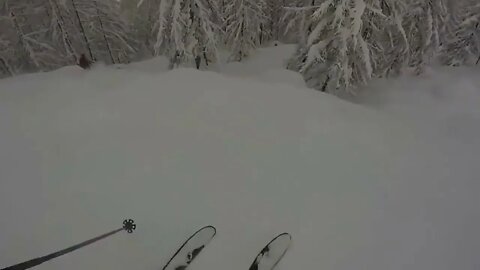 Powderday in Valtournenche 2018-17