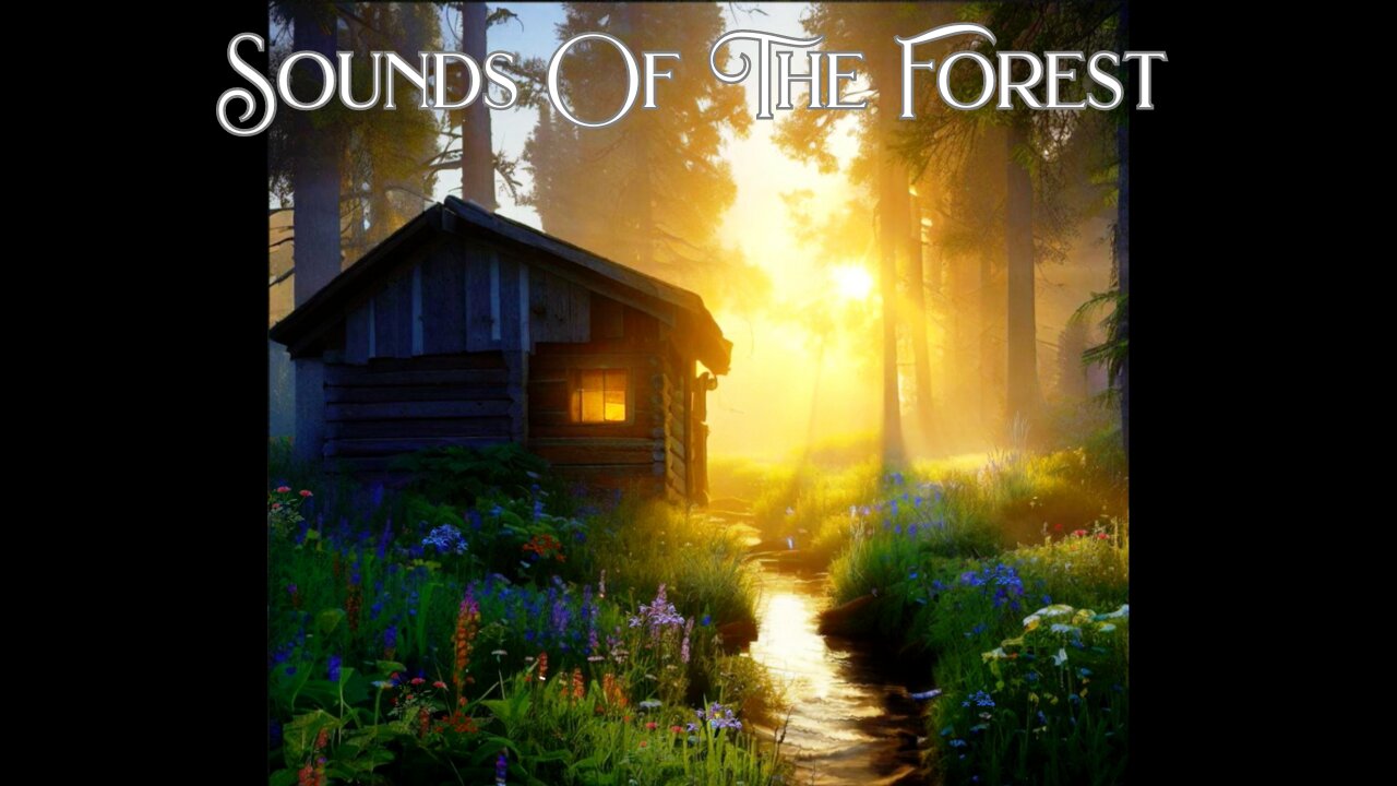 Sounds of the Forest, Bird Songs, Gentle Stream, Relaxing Nature, Nature