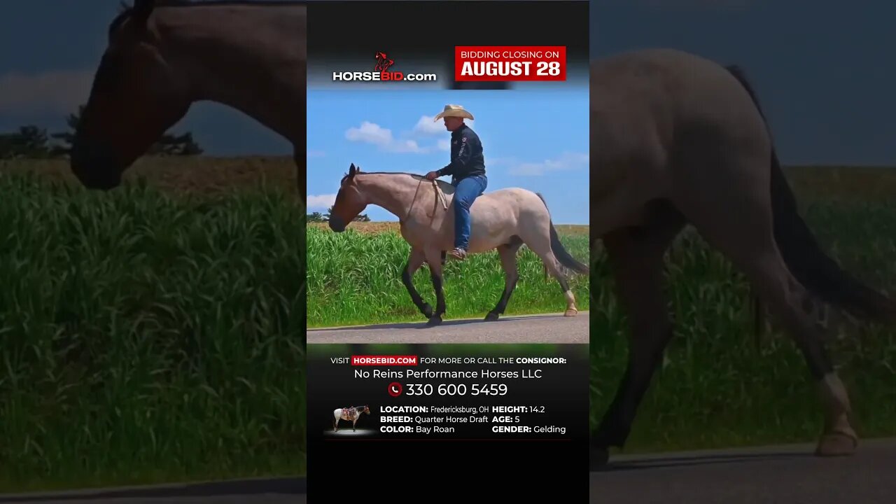𝓞𝓼𝓬𝓪𝓻