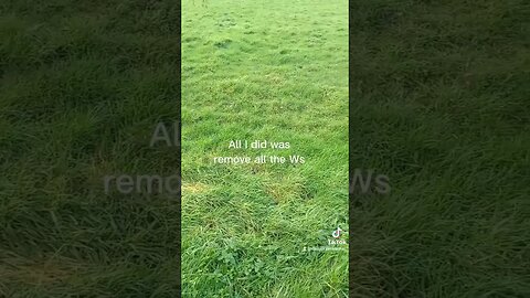 Silly dad joke from my tiktok channel #dadjokes