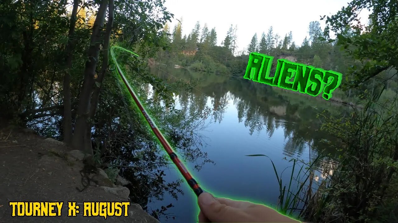 Morning Pond Fishing, Aliens or Fish? : Tourney X Pt 3