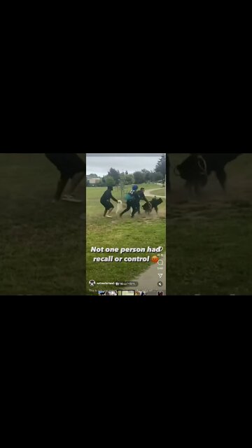 Dog Park Madness.. Predictable and Avoidable.